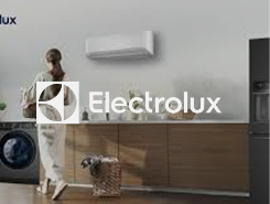 Container - 2025-06-24T171606.014